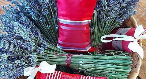 Nemzetiségi tábor 1.nap