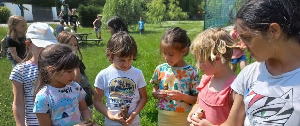 Napközis gyermeknap