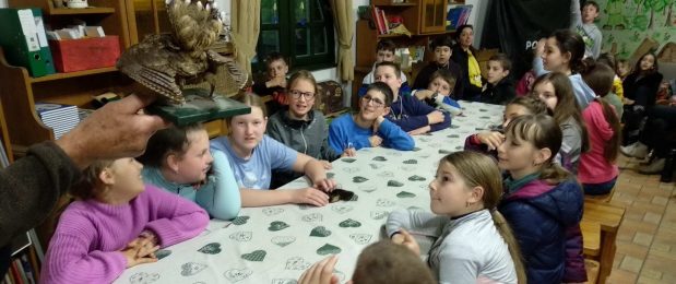 Erdei iskola – 2.nap