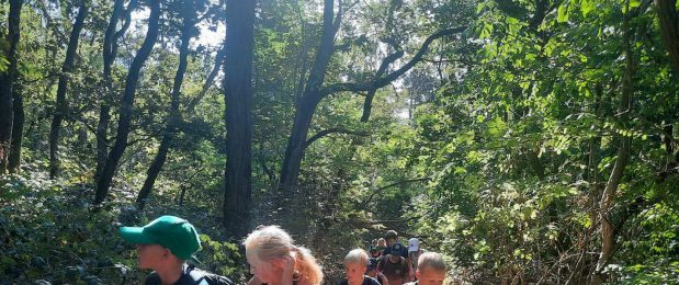 Alsós osztálykirándulások