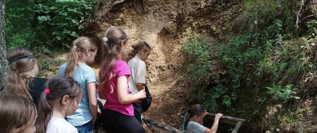 Erdei iskola – 4.nap