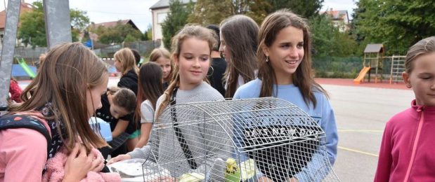 Állatok világnapja