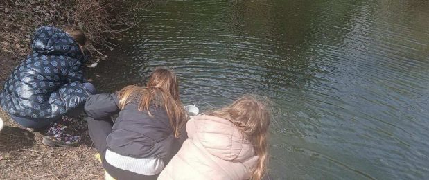 Rendhagyó környezetóra – 4.b