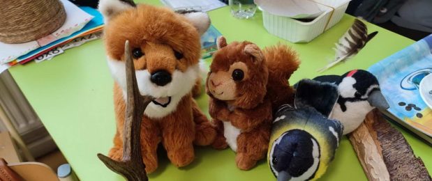 Iskolában az Erdő Program