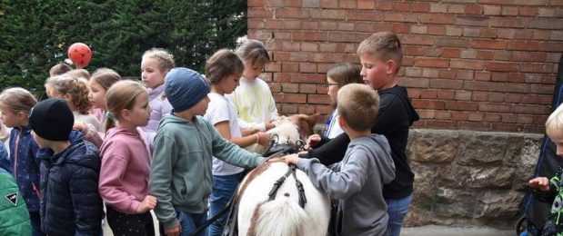 Állatok világnapja – kisállat bemutató a DÖK szervezésében