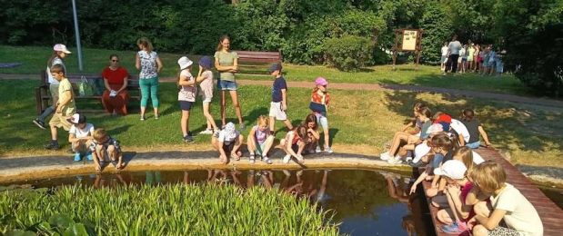 Varázslatos természet