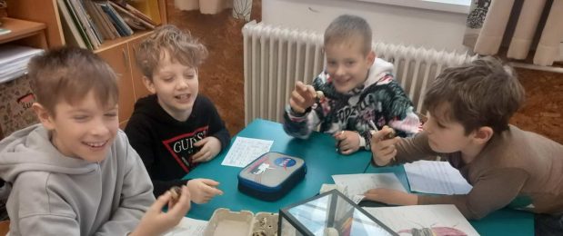 Környezetismeret-óra – 3.b