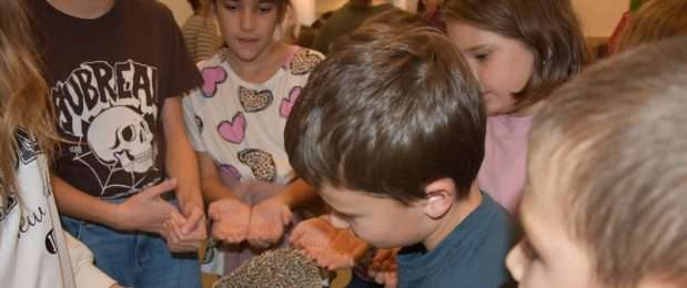 Állati vendégek az iskolában! 🐰🐱🐥🐌