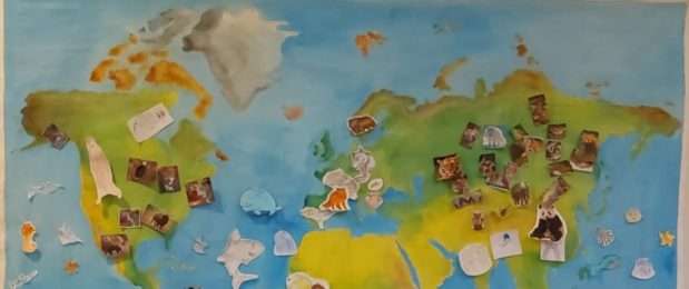 🌍 Világtérkép-projekt az Állatok Világnapja alkalmából 🐾