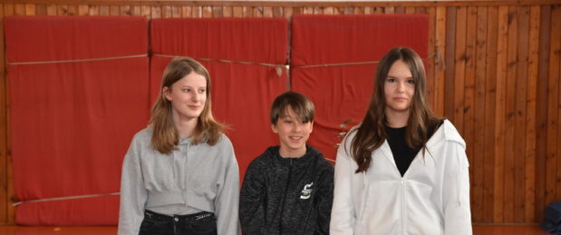 Magyar költészet napja